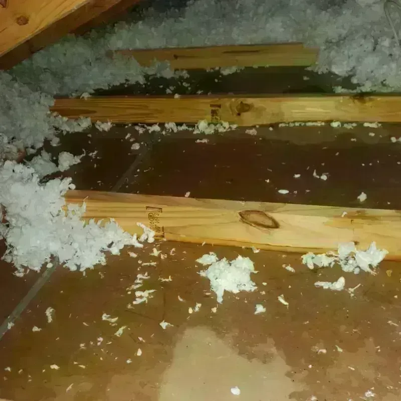 Attic Water Damage in East End, AR