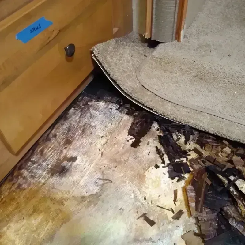 Wood Floor Water Damage in East End, AR